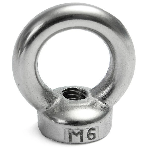 Neodymium Magnet 20x5mm Ring Eye Bolt Salvage - High Strength N42